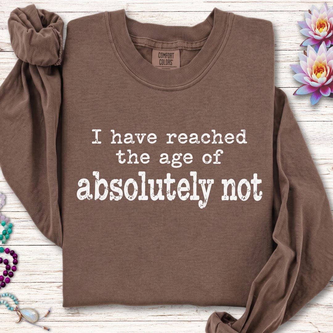 Absolutely Not Long Sleeve Tee Espresso