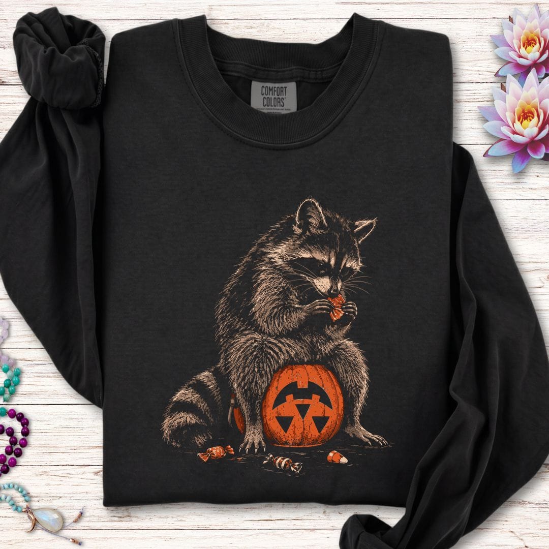 Trick-or-Treat Raccoon Long Sleeve Tee Black