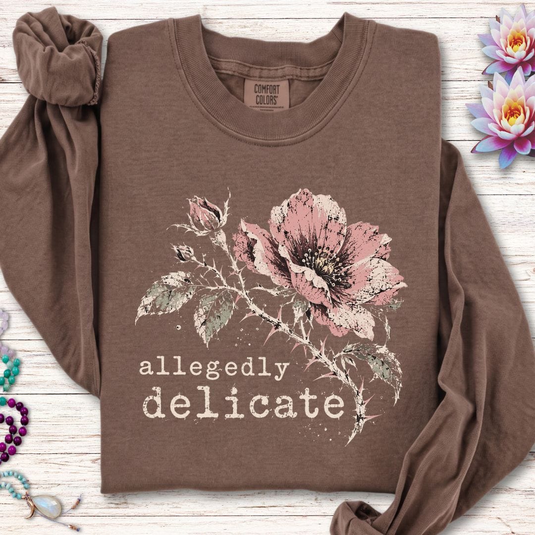 Allegedly Delicate Long Sleeve Tee