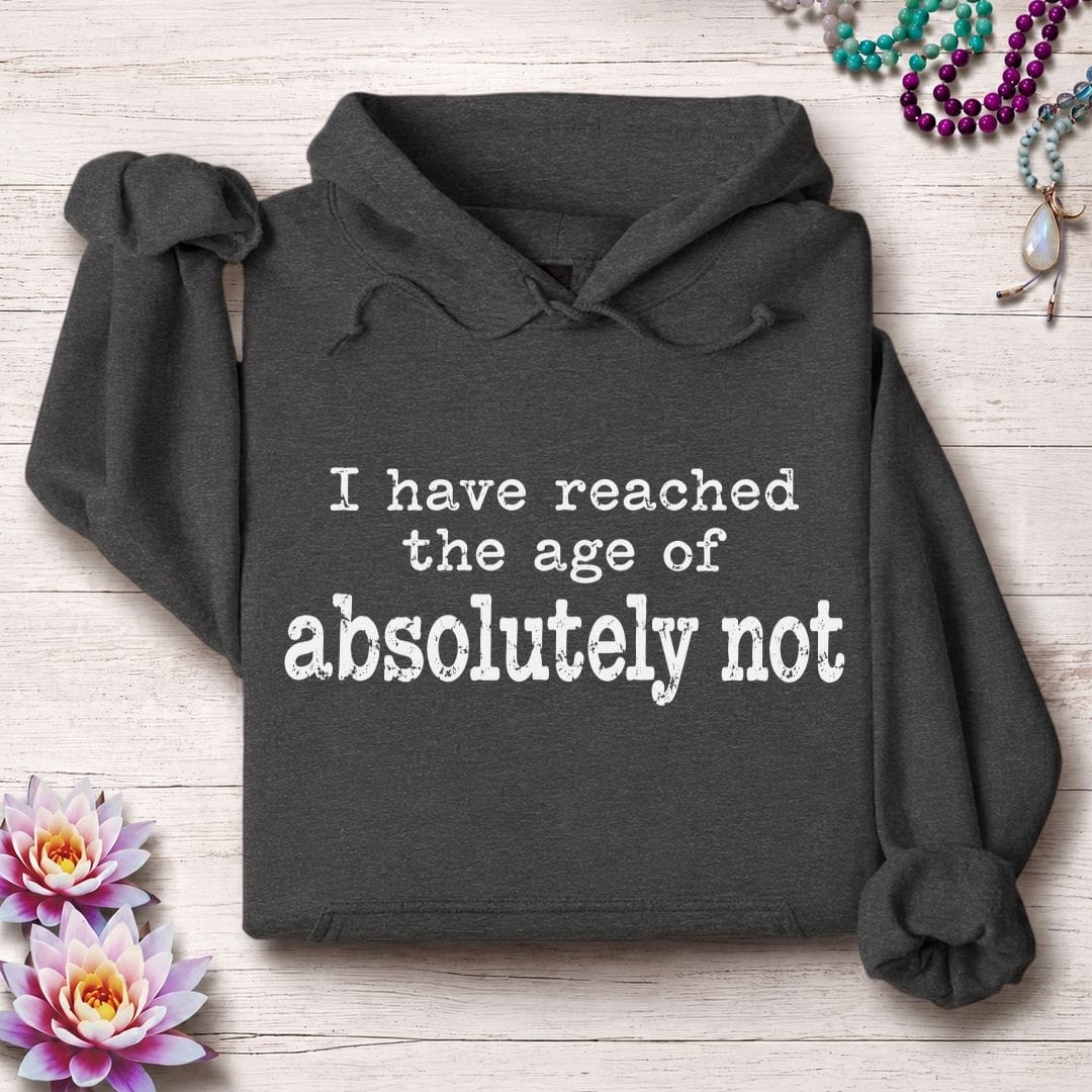 Absolutely Not Hoodie Dark Heather