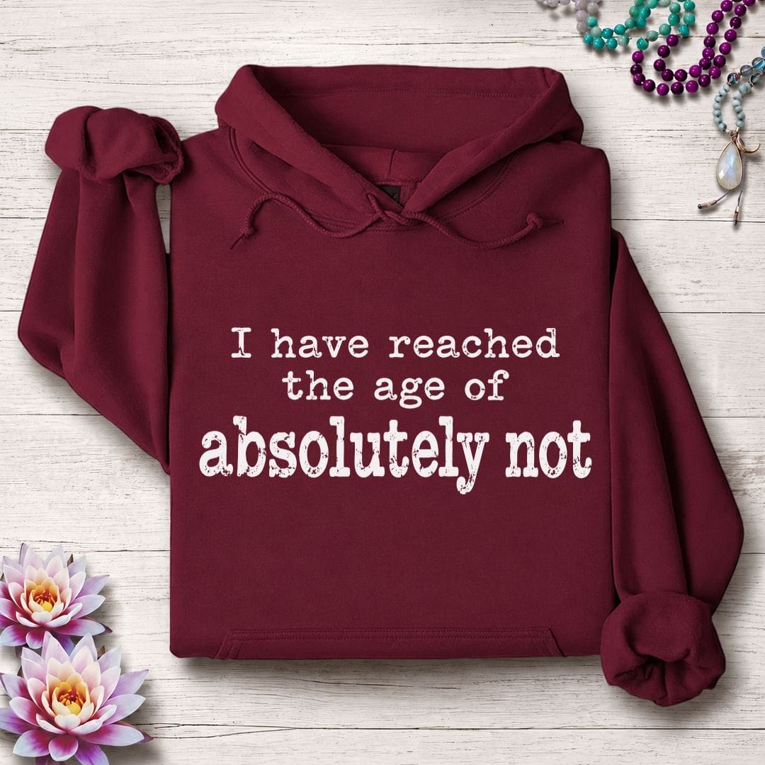 Absolutely Not Hoodie Maroon
