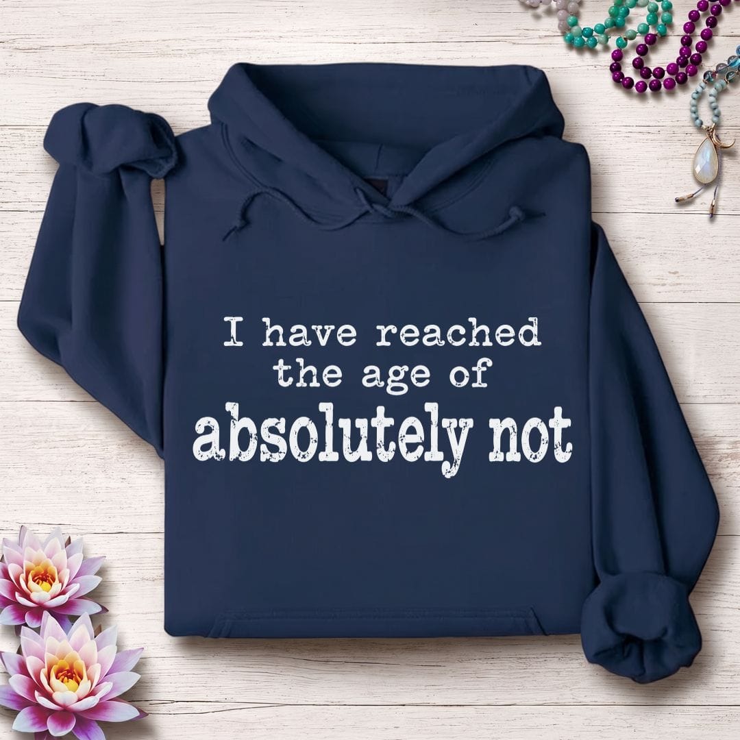 Absolutely Not Hoodie Navy