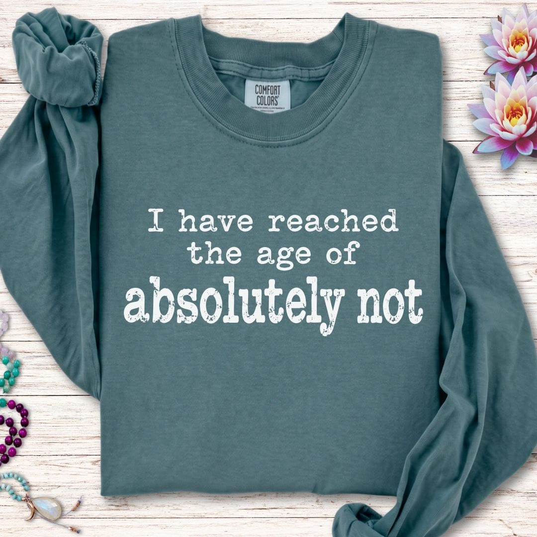 Absolutely Not Long Sleeve Tee Blue Spruce