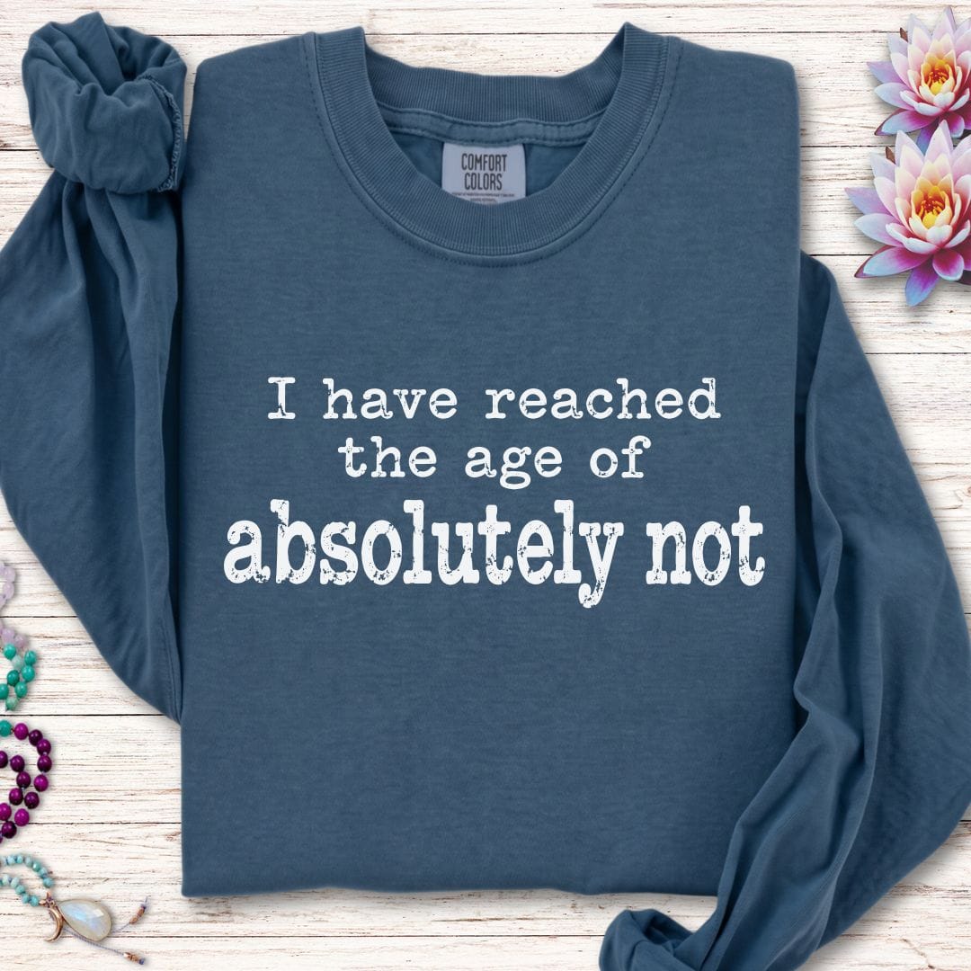 Absolutely Not Long Sleeve Tee Midnight