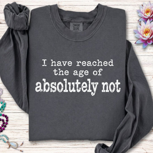 Absolutely Not Long Sleeve Tee Pepper