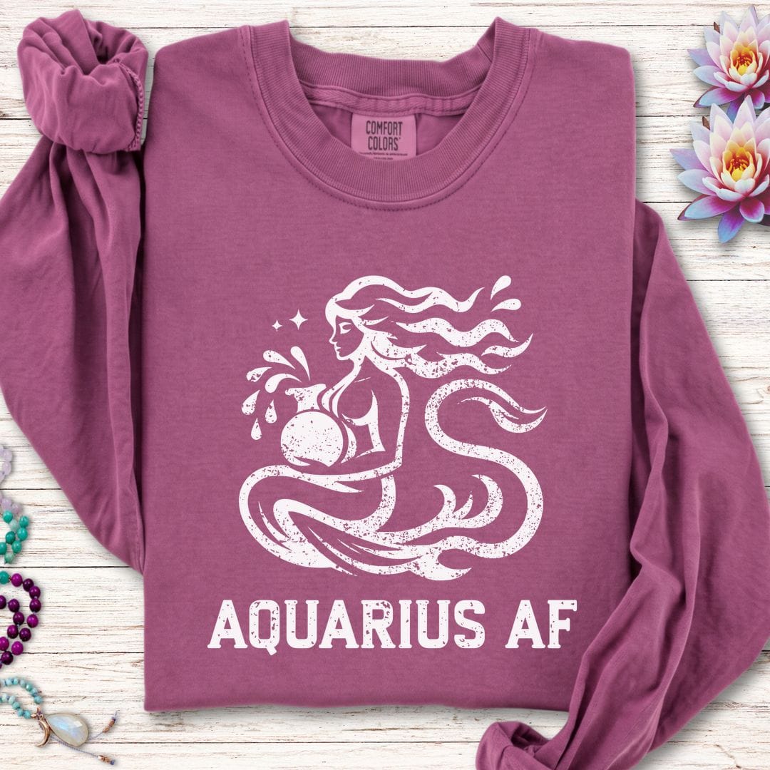 Aquarius AF Long Sleeve Tee Berry