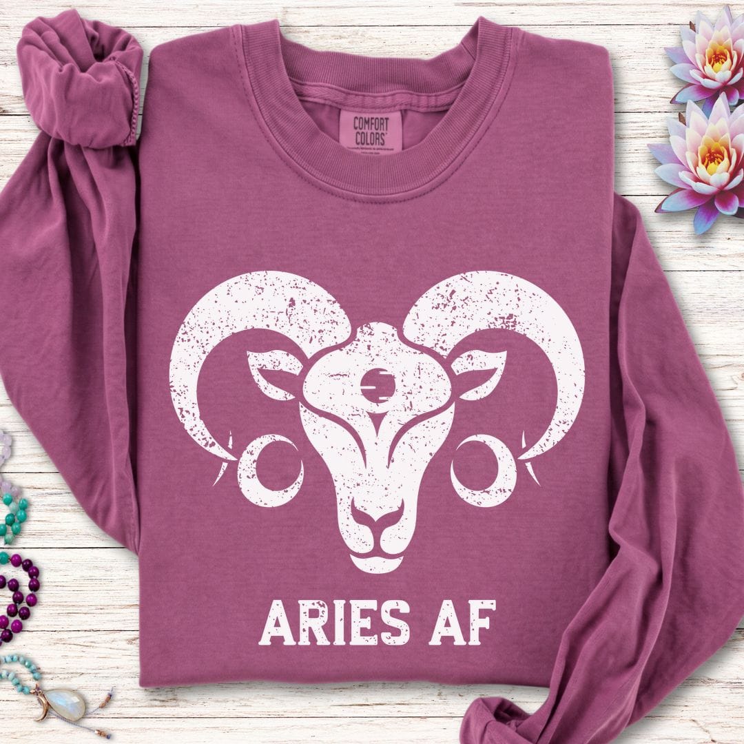 Aries AF Long Sleeve Tee Berry