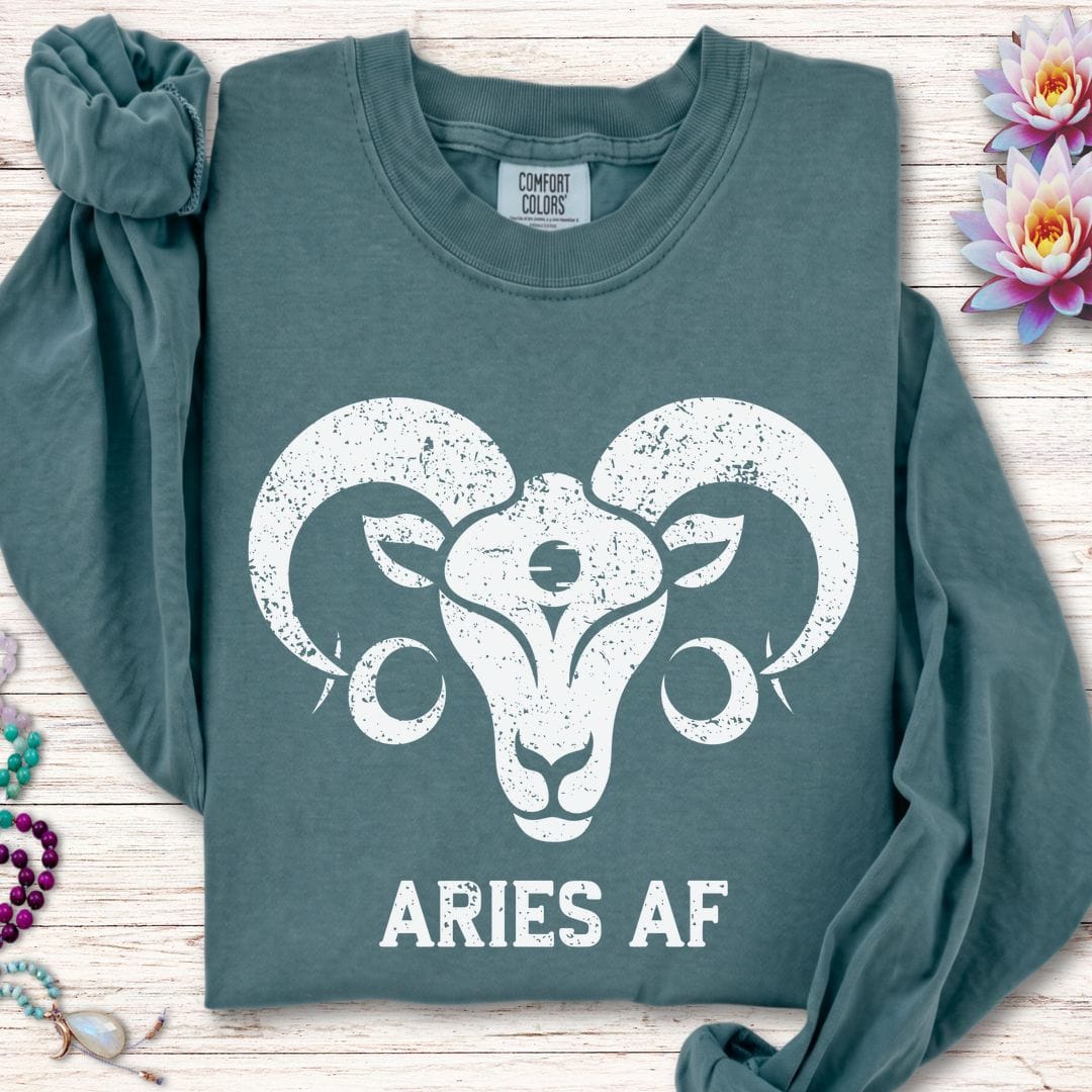 Aries AF Long Sleeve Tee Blue Spruce