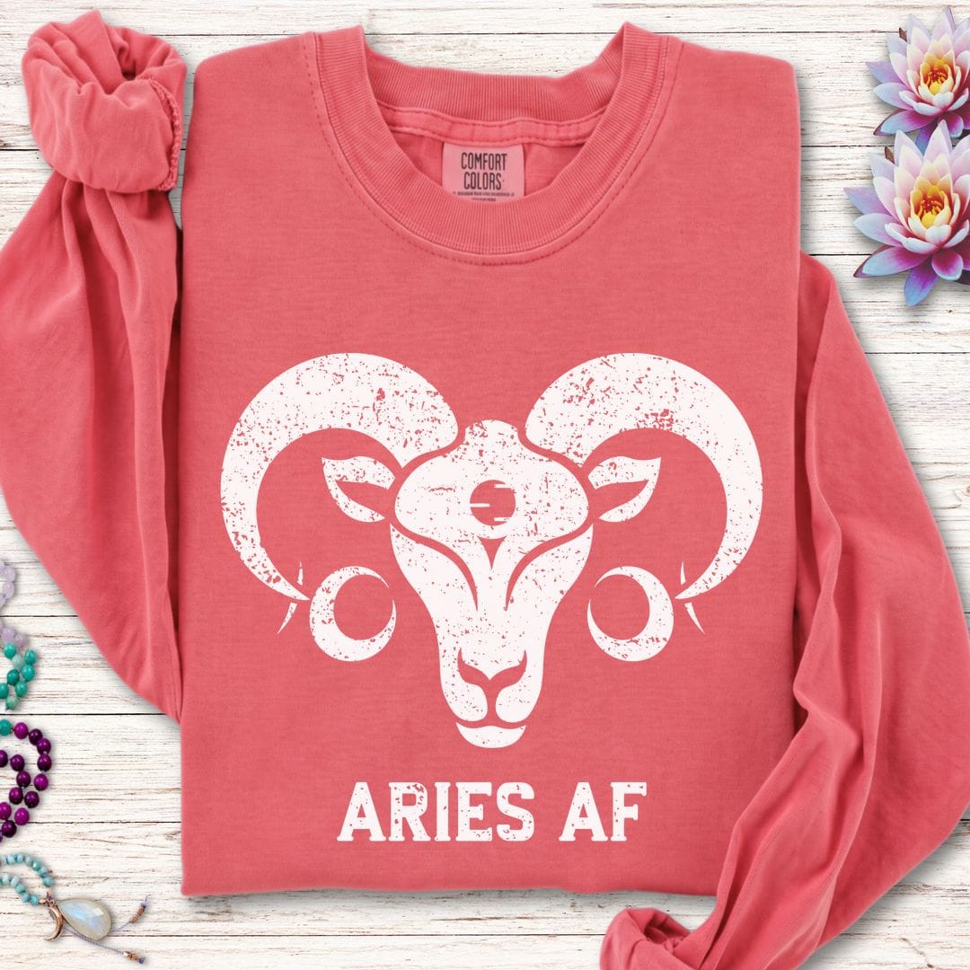 Aries AF Long Sleeve Tee Watermelon
