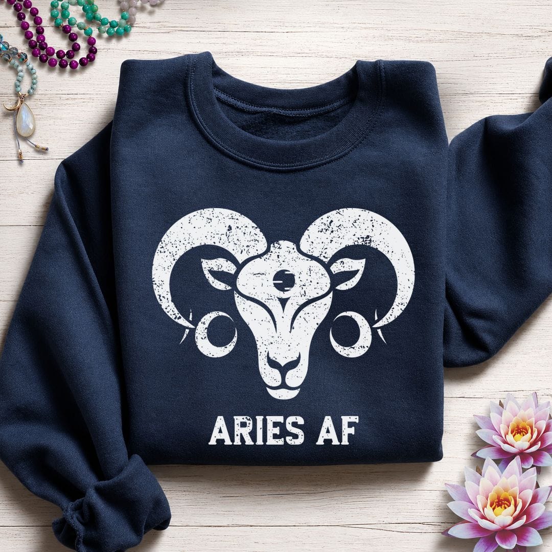 Aries AF Sweatshirt Navy