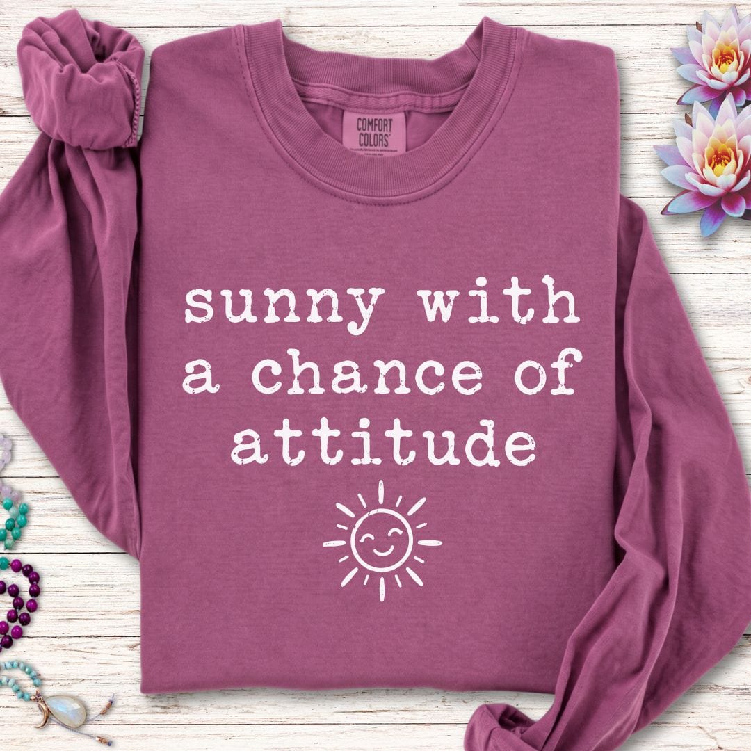Chance Of Attitude Long Sleeve Tee Berry