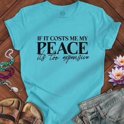 Its Too Expensive Tee Turquoise
