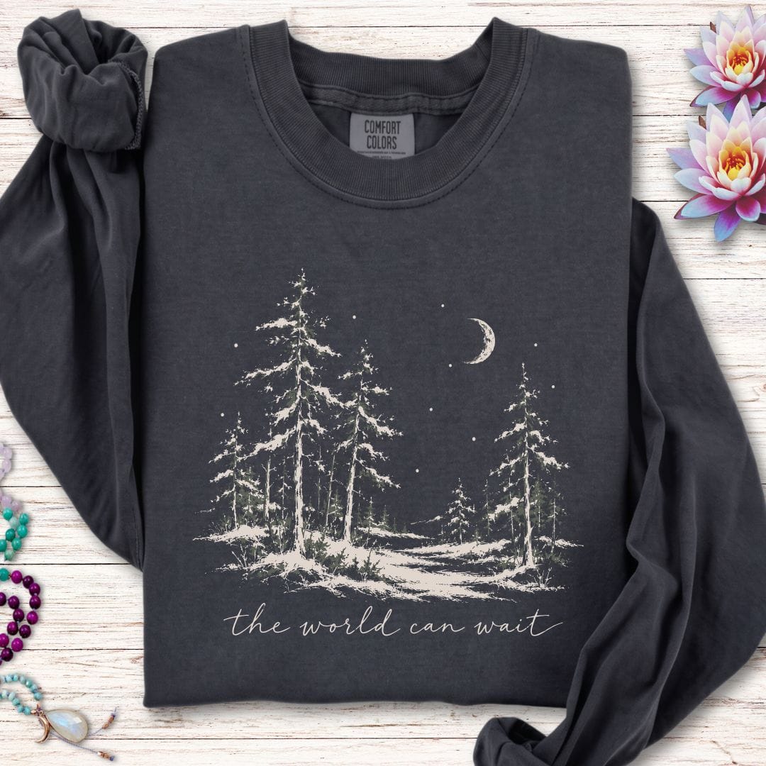 The World Can Wait Long Sleeve Tee Graphite